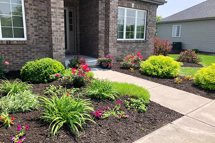 In a lawn installed mulch or rock installation