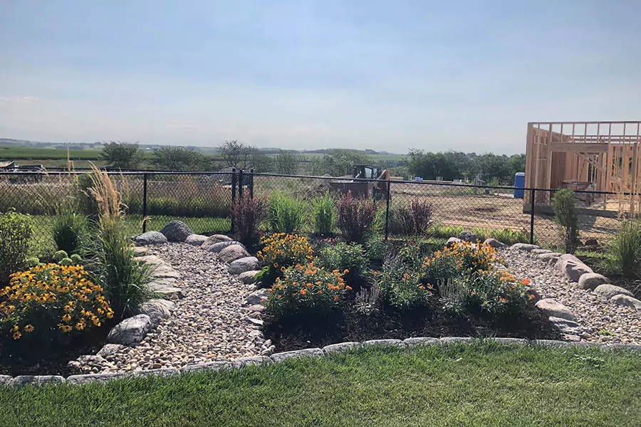 Lots of flowers in a landscape