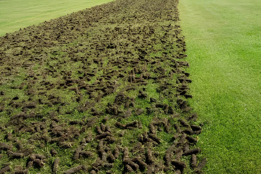 Core lawn aeration in progress on a Sarpy County clay soil lawn, showing soil plugs removed to improve drainage, airflow, and healthy grass root growth in spring