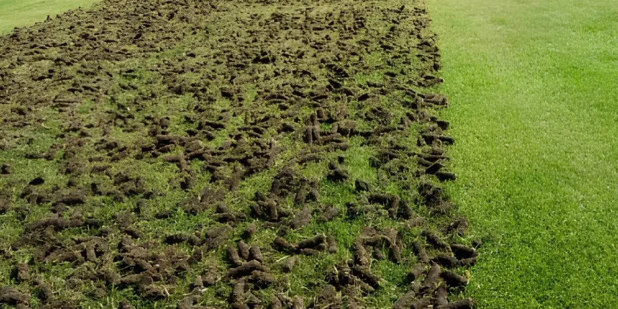 Core lawn aeration in progress on a Sarpy County clay soil lawn, showing soil plugs removed to improve drainage, airflow, and healthy grass root growth in spring