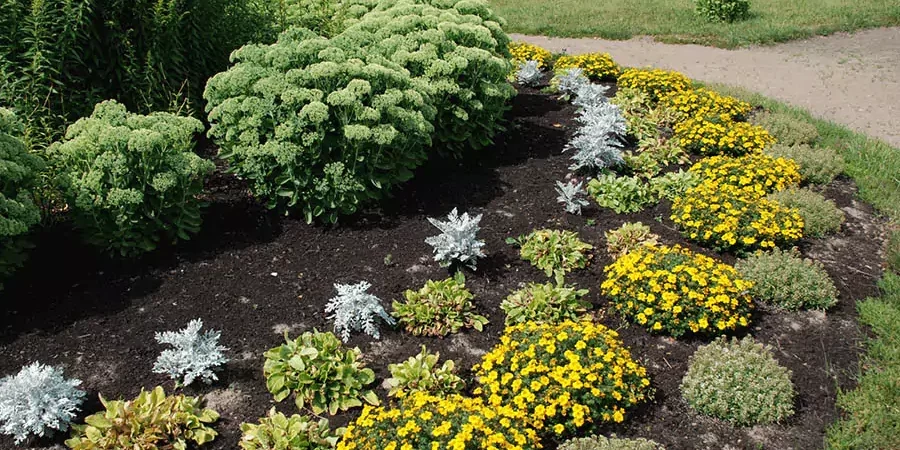 The Best Mulching in a Yard