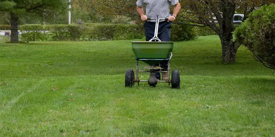 Lawn Care: How Regular Fertilizing Can Transform Your Omaha, NE