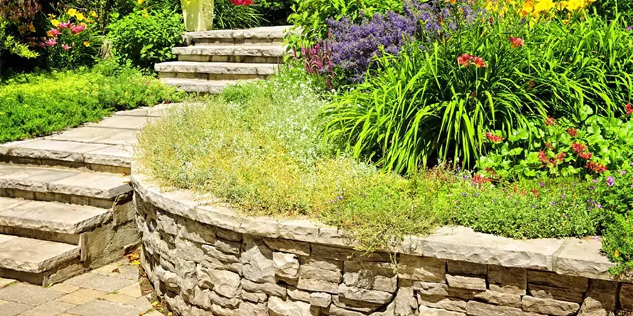 Stone retaining wall with vibrant tiered landscaping, featuring colorful flowers and stone steps for a stunning backyard design