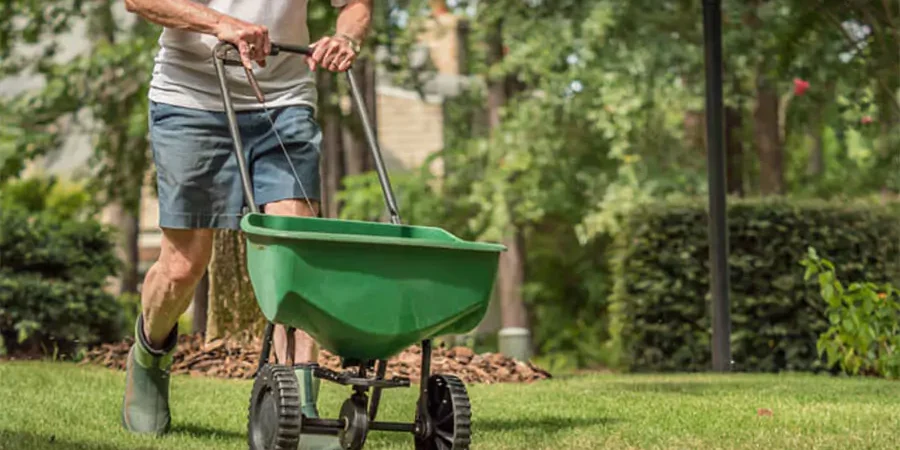 Man pushing a fertilizer spreader across a green lawn, applying nutrients to maintain a healthy and lush yard, with trees and shrubs in the background.