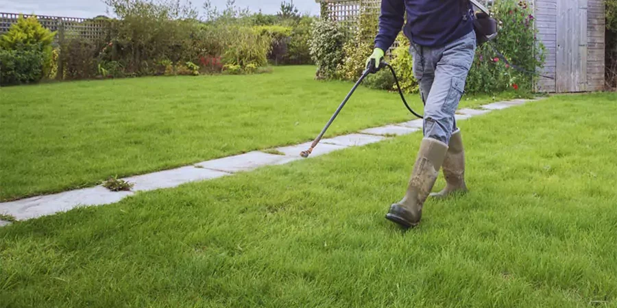 Lawn care technician applying summer weed control treatment to residential grass in Omaha backyard