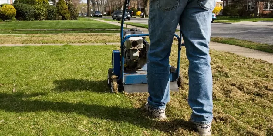 dethatching power raking