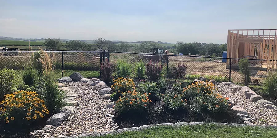 Lots of flowers in a landscape