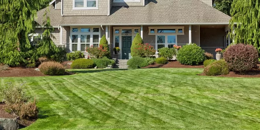 In front of a beautiful house a optimized lawn and lots of plants