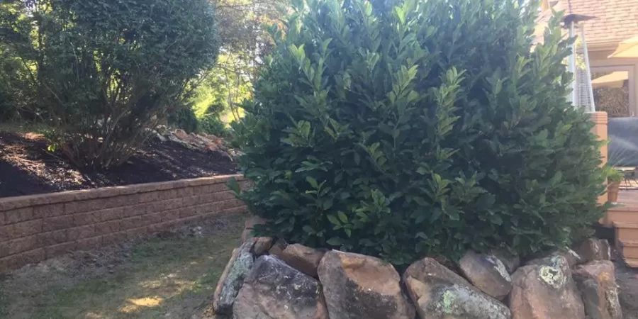 installed retaining walls