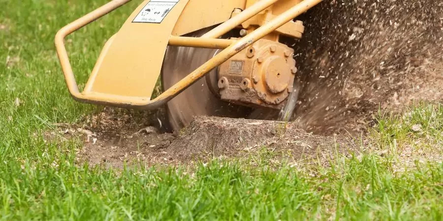 Shurlawn team providing stump grinding service
