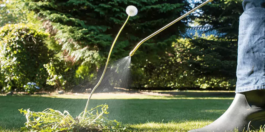 Lawn Treatments providing by Shurlawn team