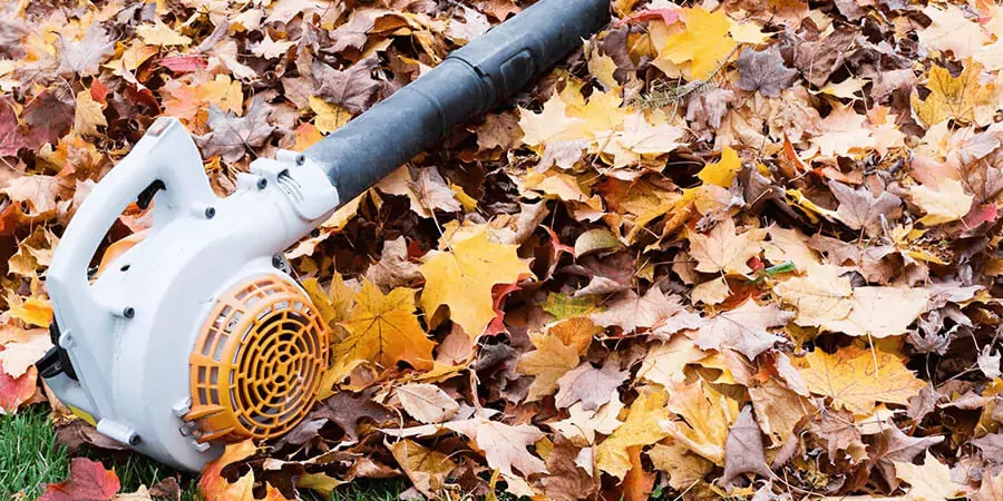 A lawn need spring & fall cleanup
